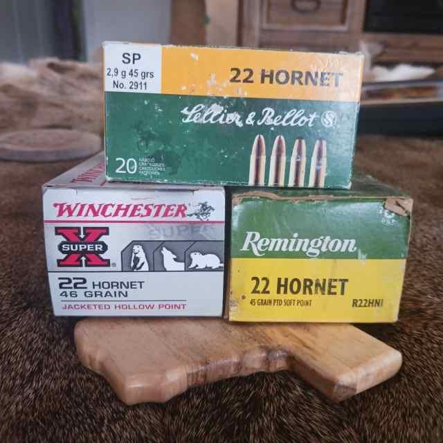 22 hormet
