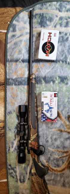 Remington 700 300wm