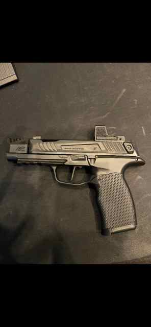 Custom sig 365