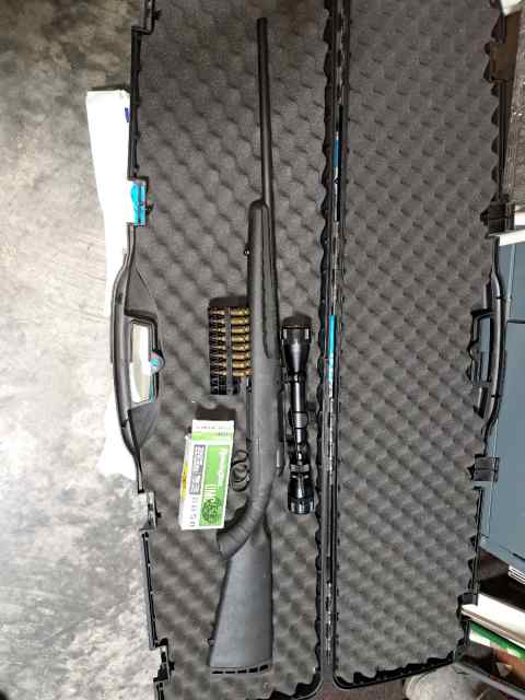 Savage Axis 22-250 with Bushnell Scope