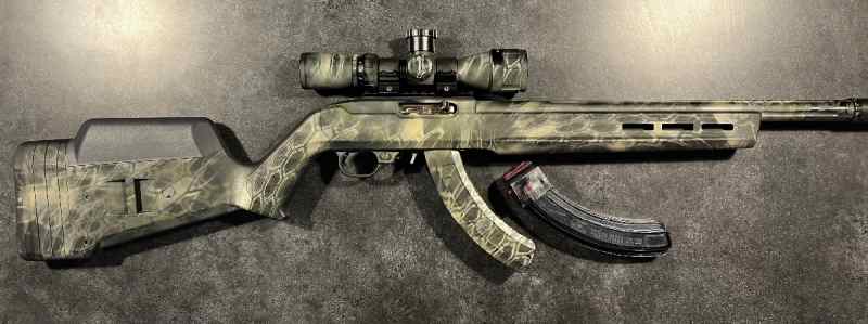 Custom Ruger 10/22