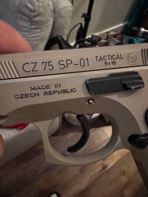 All Steel CZ SP01 (not the new plastic one) in 9mm