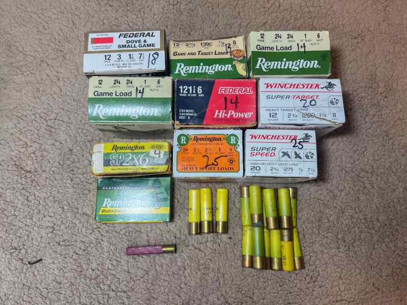 Assorted shotgun shells for sale