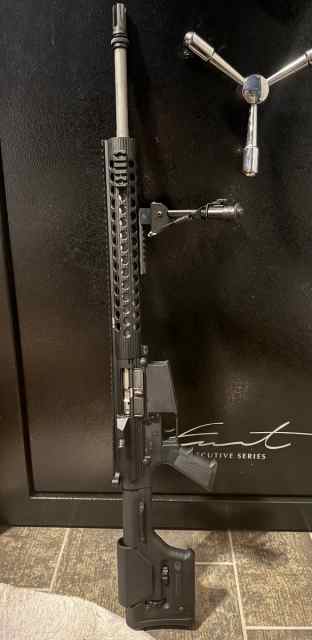 AR10 - 308 WTS