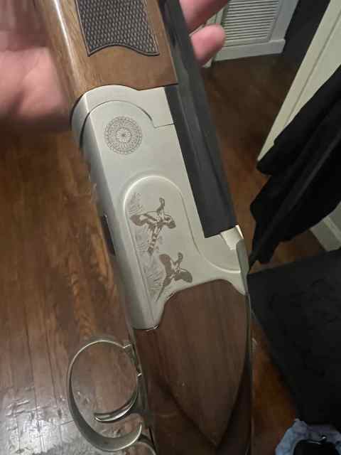 Want to sell pointer over under 12 gauge