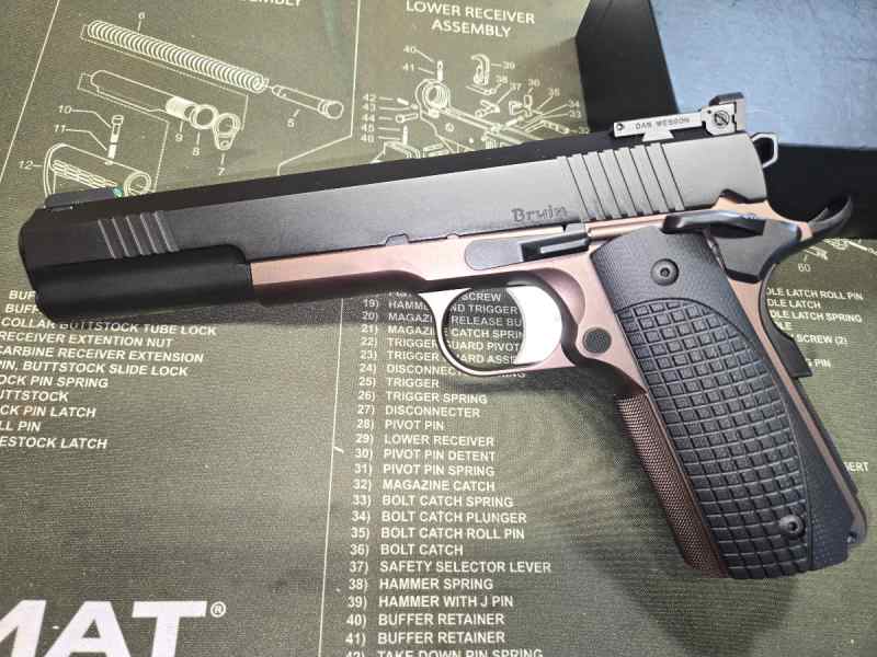 Dan Wesson Bruin 10mm